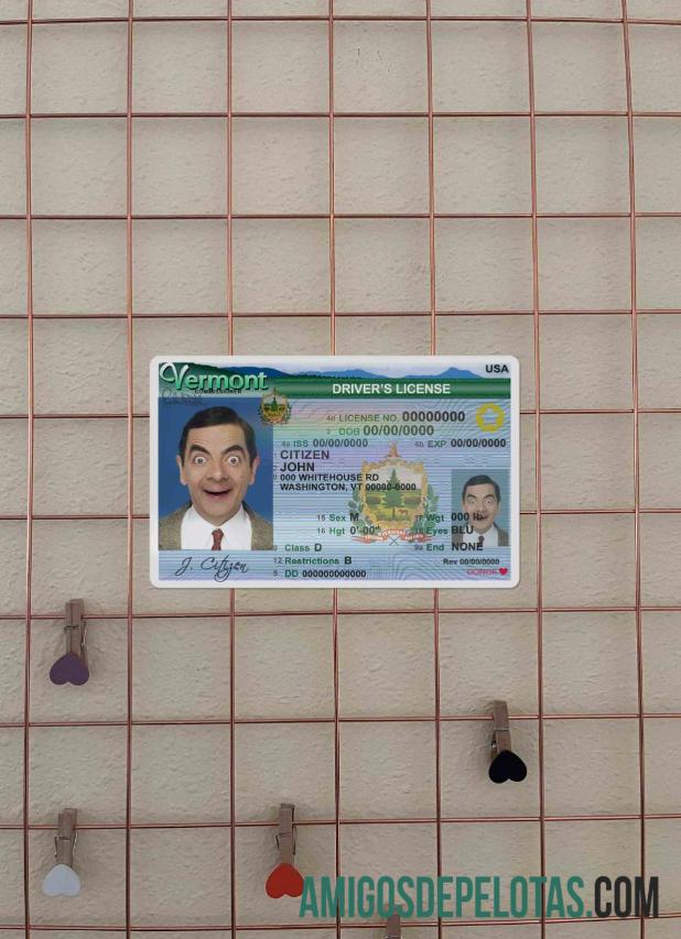 EUA Vermont DL (2004 2019) Photolook FRENTE exemplo real